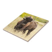 Wilder Büffel auf einem Gebiet Fliese (Seite)