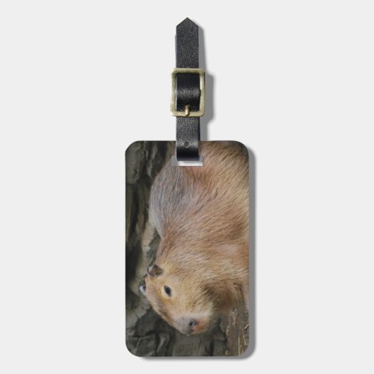 Wilder Capybara-Gepäckanhänger Gepäckanhänger (Vorderseite vertikal)