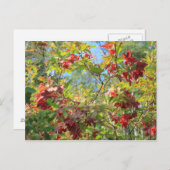 Wilder Cranberry Postkarte (Vorne/Hinten)