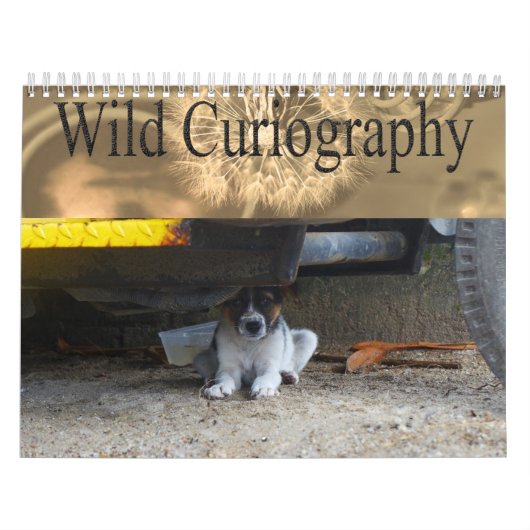 Wilder Curiography Hundekalender Kalender (Titelbild)