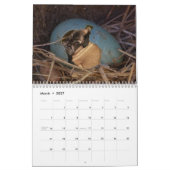 Wilder Curiography Hundekalender Kalender (Mär 2027)