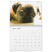 Wilder Curiography Hundekalender Kalender (Jan 2027)