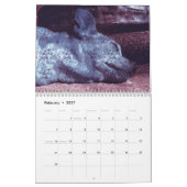 Wilder Curiography Hundekalender Kalender (Feb 2027)
