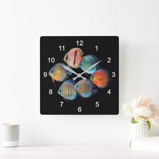 Wilder Diskus Quadratische Wanduhr (Zuhause)