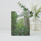 wilder Dschungel Postkarte (Stehend Vorderseite)