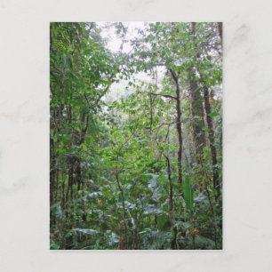 wilder Dschungel Postkarte