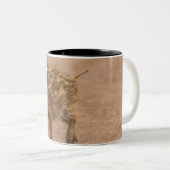 Wilder Eber-Ferkel Zweifarbige Tasse (VorderseiteRechts)