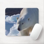 Wilder Eisbär in Svalbard, (Spitzbergen) Mousepad (Mit Mouse)
