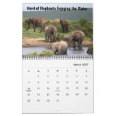 Wilder Elefanten Kalender (Mär 2027)