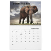 Wilder Elefanten Kalender (Feb 2027)