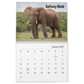 Wilder Elefanten Kalender (Jan 2027)