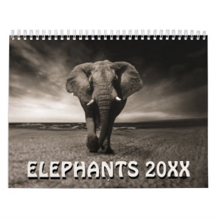Wilder Elefanten Kalender