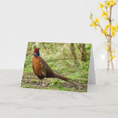 Wilder Fasan Karte (Gelbe Blume)