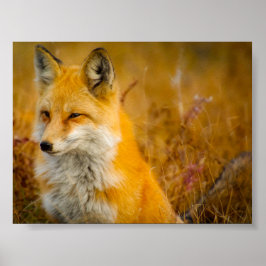 Wilder Fox im Wald Poster