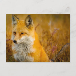 Wilder Fox im Wald Postkarte