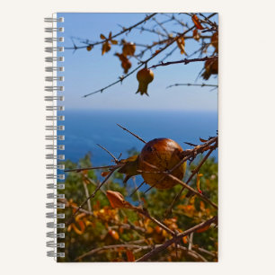 Wilder Granatapfel Sonniges Montenegro Sommer Notizblock
