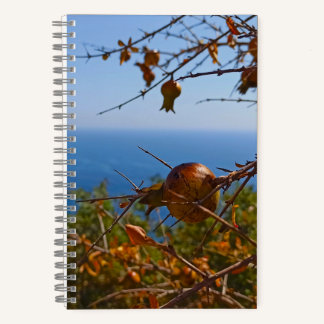 Wilder Granatapfel Sonniges Montenegro Sommer Notizblock