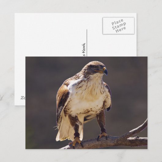 wilder Hawk Postkarte (Vorne/Hinten)