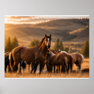 Wilder Hengst - Chaos Poster