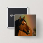 Wilder Hengst, Goldenes Licht und Regenbogen Button (Vorne & Hinten)