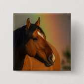 Wilder Hengst, Goldenes Licht und Regenbogen Button (Vorderseite)