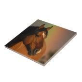 Wilder Hengst, Goldenes Licht und Regenbogen Fliese (Seite)