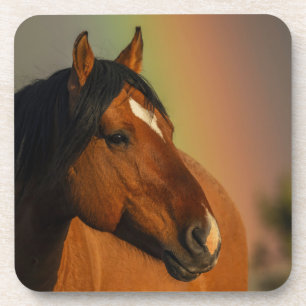 Wilder Hengst, Goldenes Licht und Regenbogen Getränkeuntersetzer
