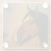 Wilder Hengst, Goldenes Licht und Regenbogen Glasuntersetzer (Rückseite)