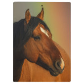 Wilder Hengst, Goldenes Licht und Regenbogen Klemmbrett (Rückseite)