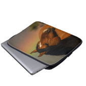 Wilder Hengst, Goldenes Licht und Regenbogen Laptopschutzhülle (Vorne Knopf)