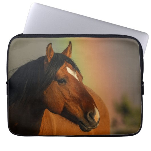 Wilder Hengst, Goldenes Licht und Regenbogen Laptopschutzhülle (Vorderseite)