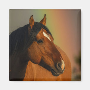 Wilder Hengst, Goldenes Licht und Regenbogen Magnet
