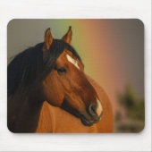 Wilder Hengst, Goldenes Licht und Regenbogen Mousepad (Vorne)
