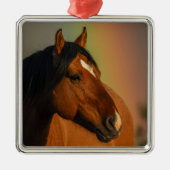 Wilder Hengst, Goldenes Licht und Regenbogen Ornament Aus Metall (Vorne)