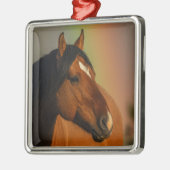 Wilder Hengst, Goldenes Licht und Regenbogen Ornament Aus Metall (Links)