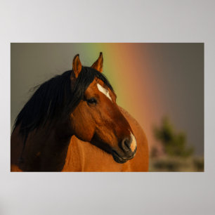 Wilder Hengst, Goldenes Licht und Regenbogen Poster