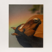 Wilder Hengst, Goldenes Licht und Regenbogen Puzzle (Vertikal)