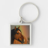 Wilder Hengst, Goldenes Licht und Regenbogen Schlüsselanhänger (Vorne)