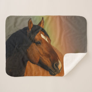 Wilder Hengst, Goldenes Licht und Regenbogen Sherpadecke