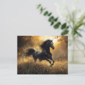 Wilder Hengst Schwarzer Hengst Mustang Postkarte (Stehend Vorderseite)
