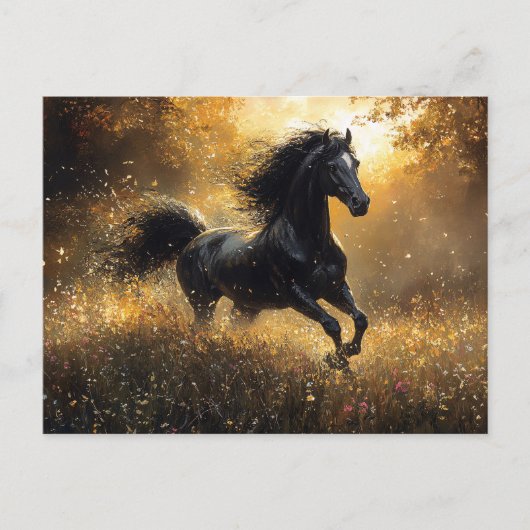 Wilder Hengst Schwarzer Hengst Mustang Postkarte (Vorderseite)