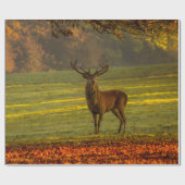 Wilder Hirsch Geschenkpapier (Flach)