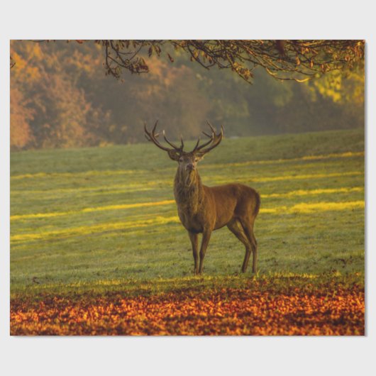 Wilder Hirsch Geschenkpapier (Flach)