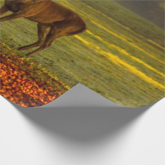 Wilder Hirsch Geschenkpapier (Ecke)