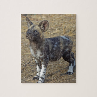 Wilder Hundewelpe Puzzle