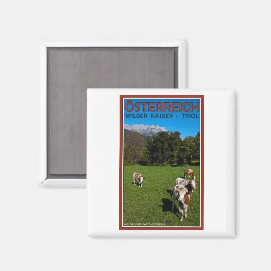 Wilder Kaiser - Kühe Magnet (Vorderseite/Rückseite)