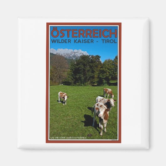 Wilder Kaiser - Kühe Magnet (Vorne)