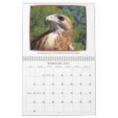 Wilder Kalender der Gesichts-2013 (Feb 2027)