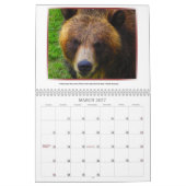 Wilder Kalender der Gesichts-2013 (Mär 2027)