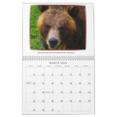 Wilder Kalender der Gesichts-2013 (Mär 2026)